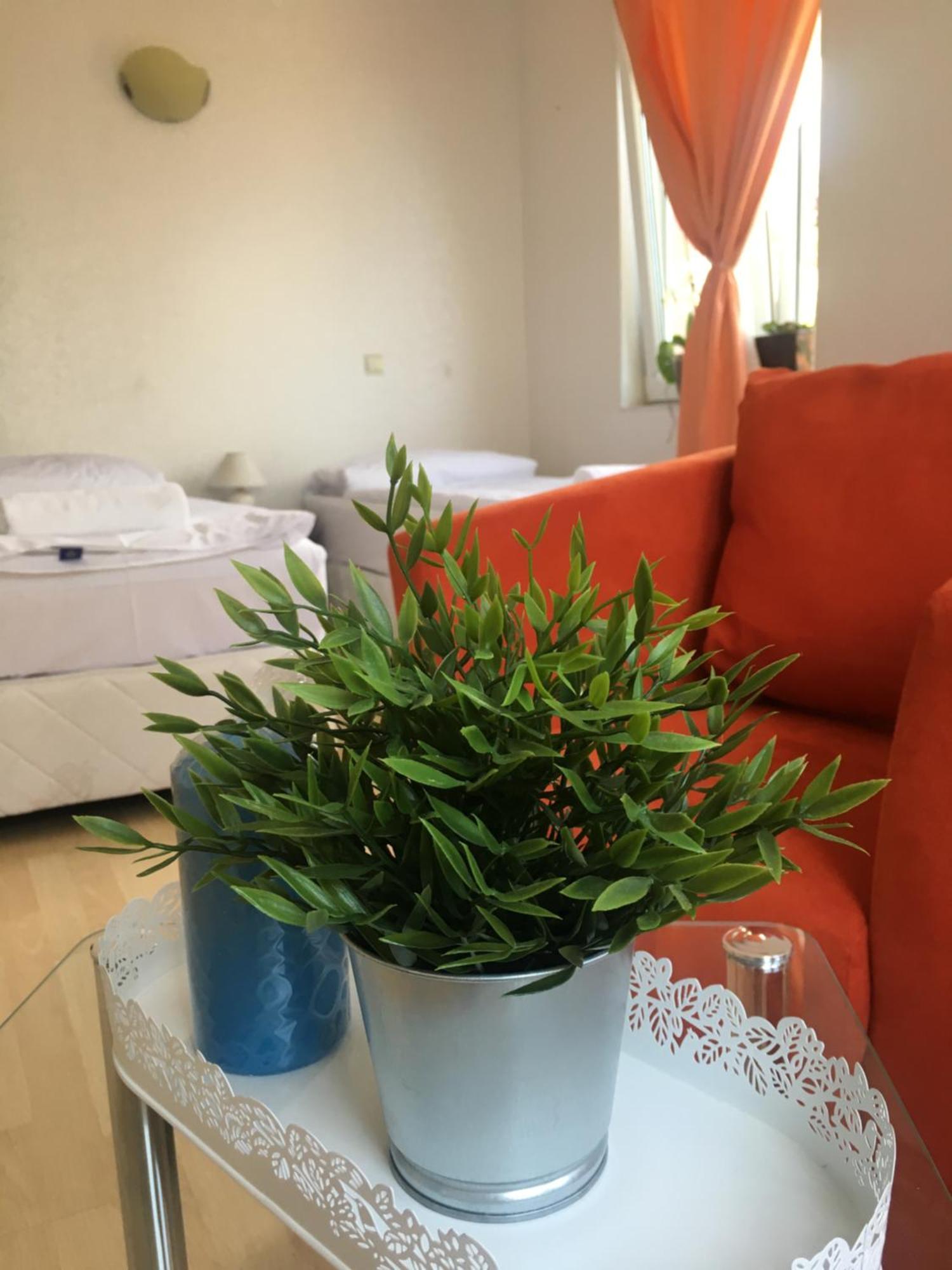 Sunray Guest House, Private Rooms & Apartment With Lovely Sea View فارنا المظهر الخارجي الصورة
